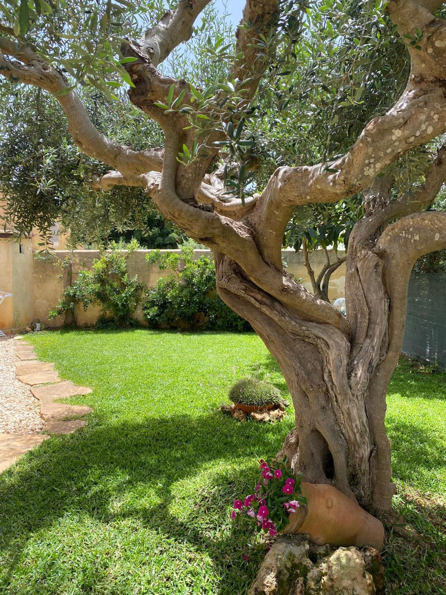 Villa Barbera Marsala Exterior foto
